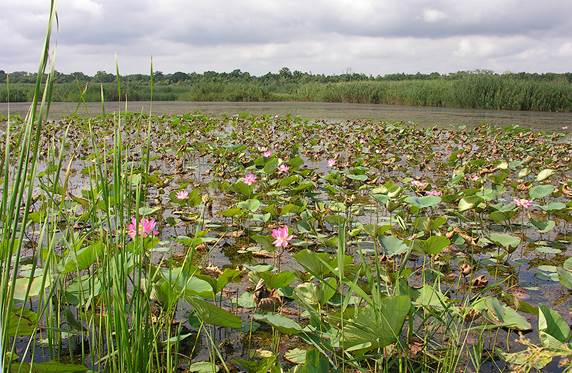 image011 Как охраняют природу в дагестане