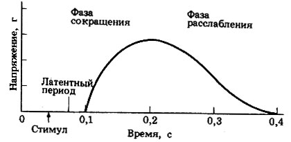 Что составляет сократительный аппарат мышечных волокон. Смотреть фото Что составляет сократительный аппарат мышечных волокон. Смотреть картинку Что составляет сократительный аппарат мышечных волокон. Картинка про Что составляет сократительный аппарат мышечных волокон. Фото Что составляет сократительный аппарат мышечных волокон