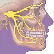 Тройничный нерв