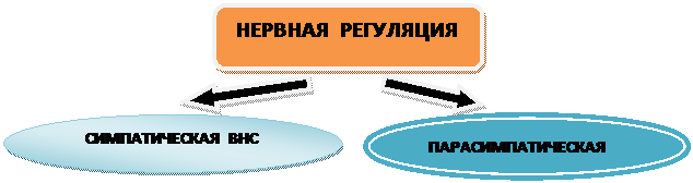 Чем объясняется явление лестницы боудича. Смотреть фото Чем объясняется явление лестницы боудича. Смотреть картинку Чем объясняется явление лестницы боудича. Картинка про Чем объясняется явление лестницы боудича. Фото Чем объясняется явление лестницы боудича