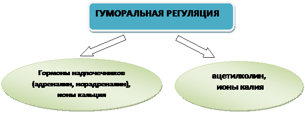 Чем объясняется явление лестницы боудича. Смотреть фото Чем объясняется явление лестницы боудича. Смотреть картинку Чем объясняется явление лестницы боудича. Картинка про Чем объясняется явление лестницы боудича. Фото Чем объясняется явление лестницы боудича