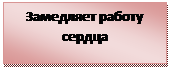 Подпись: Замедляет работу сердца