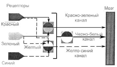 Описание: Описание: F:\Новая папка\ЦВЕТ В КОМПЬЮТЕРНОЙ ГРАФИКЕ_files\11.png