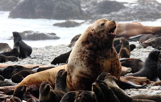 Описание: http://www.zapoved.ru/photos/ded6/5ddf/c2b7/a71f/4002/06a2/786b/6217/large.jpg