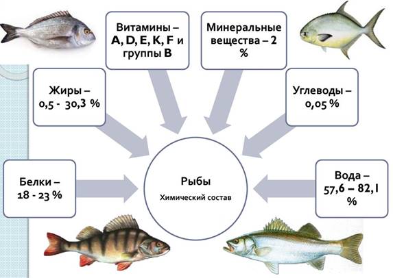 Описание: Значение рыбы в питании человека. Строение, химический состав, пищевая ценность - презентация онлайн