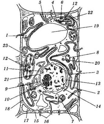 : : image016