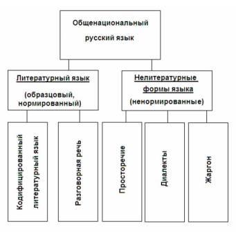 tema4.jpg