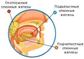 http://bestreferat.ru/images/paper/44/85/7278544.png