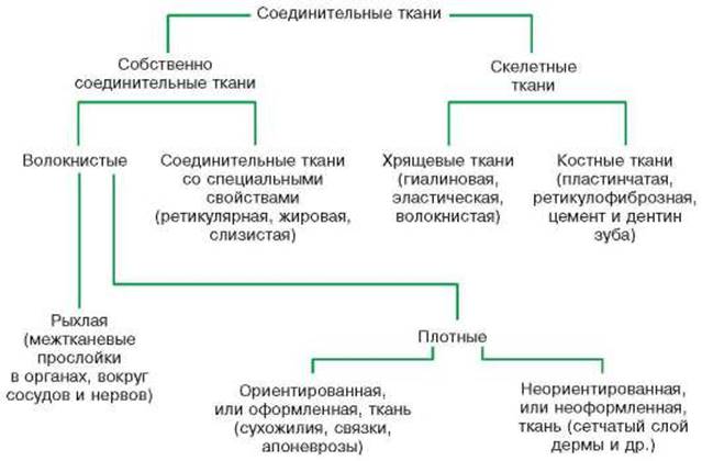: ÐšÐÑ€Ñ‚Ð¸Ð½ÐºÐ¸ Ð¿Ð¾ ÐÐÐ¿Ñ€Ð¾ÑÑƒ ÐºÐÐÑÑÐ¸Ñ„Ð¸ÐºÐÑ†Ð¸Ñ ÑÐ¾ÐÐ´Ð¸Ð½Ð¸Ñ‚ÐÐÑŒÐ½Ð¾Ð¹ Ñ‚ÐºÐÐ½Ð¸ Ñ‚ÐÐÐÐ¸Ñ†Ð